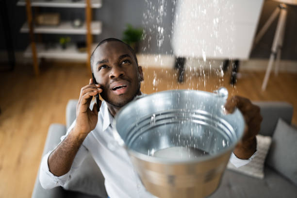 Best Basement water damage restoration  in Franklin, GA