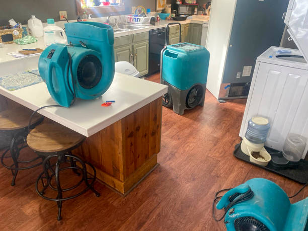 Professional Water damage restoration in Franklin, GA
