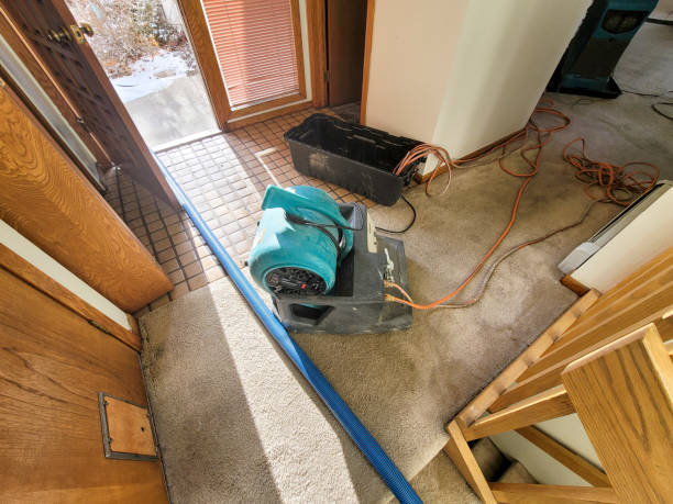 Best Water damage restoration near me  in Franklin, GA