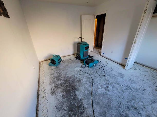 Best Ceiling water damage repair  in Franklin, GA