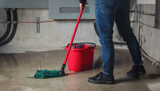 Best Commercial water damage restoration  in Franklin, GA