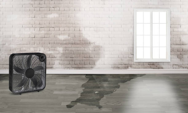 Professional Water damage restoration in Franklin, GA