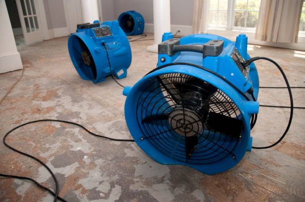 Best Water damage restoration near me  in Franklin, GA
