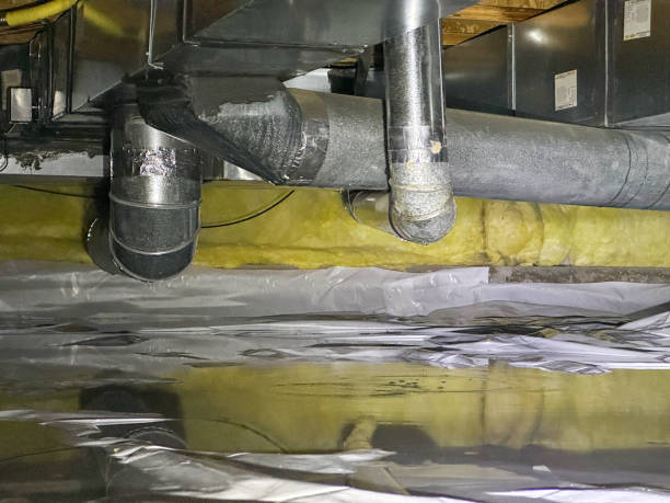 Best Local water damage restoration  in Franklin, GA