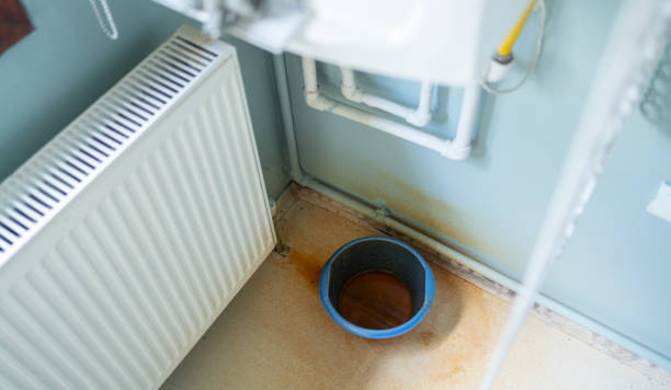 Carpet water damage restoration in Franklin, GA
