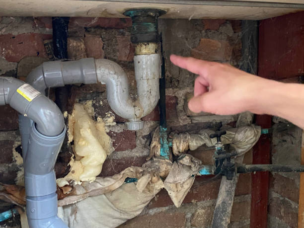 Best Mold removal after water damage  in Franklin, GA