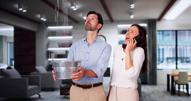 Best Carpet water damage restoration  in Franklin, GA