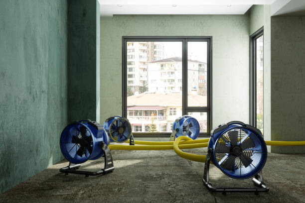 Best Water damage cleanup near me  in Franklin, GA