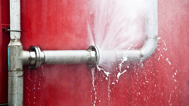 Best Water damage restoration process  in Franklin, GA