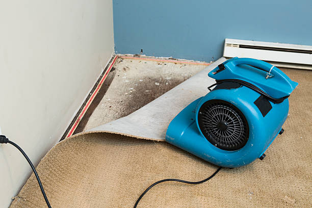 Best Water damage restoration near me  in Franklin, GA